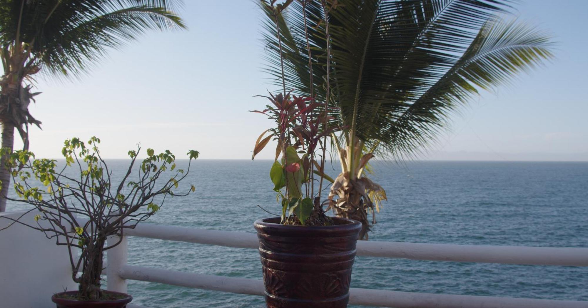 Traditional Sierra Leon Oceanfront Rooms - Adults Only Puerto Vallarta Eksteriør billede